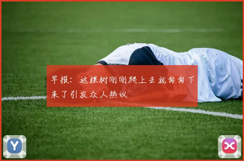 早报：这棵树刚刚爬上去就匆匆下来了引发众人热议