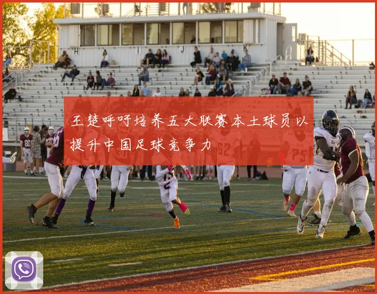 王楚呼吁培养五大联赛本土球员以提升中国足球竞争力